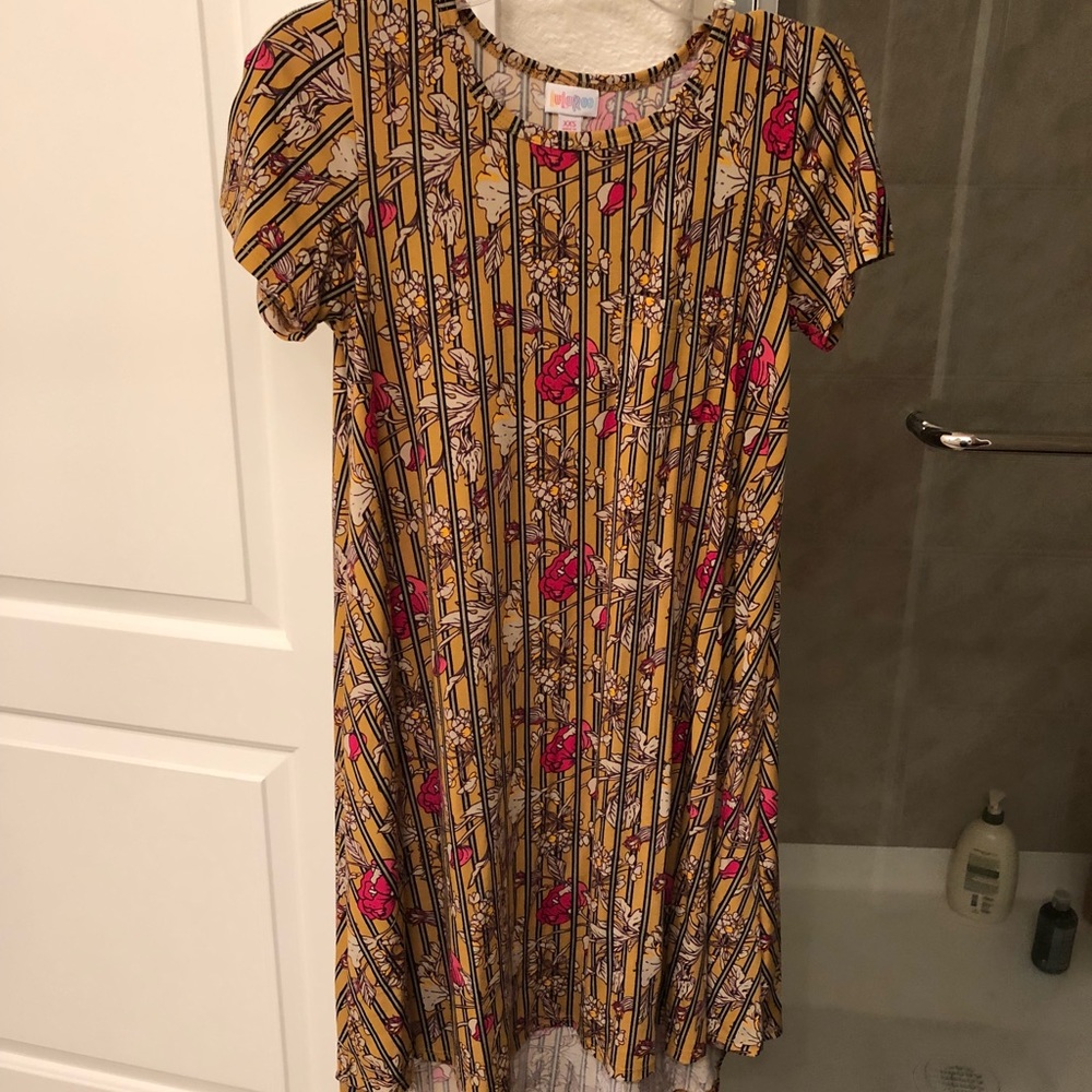 LuLaRoe XXS Rose Print Carly